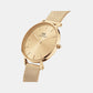 Petite Women Quartz Gold Dial Analog Stainless Steel Watch DW00100473