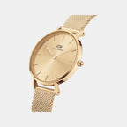 Petite Women Quartz Gold Dial Analog Stainless Steel Watch DW00100473