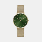 Petite Women Quartz Green Dial Analog Stainless Steel Watch DW00100480