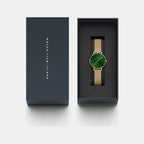 Petite Women Quartz Green Dial Analog Stainless Steel Watch DW00100481