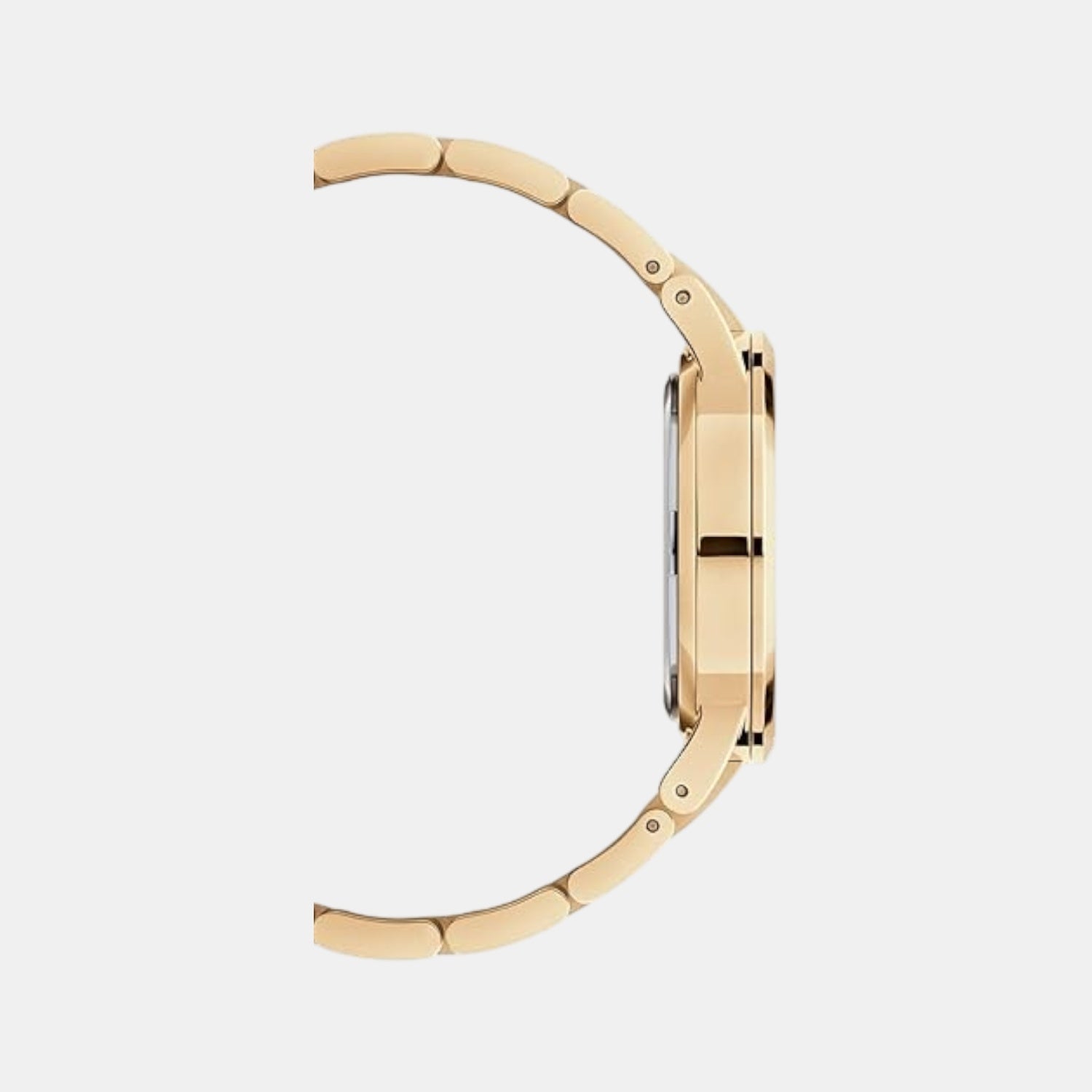 Iconic Women Quartz Green Dial Analog Stainless Steel Watch DW00100553