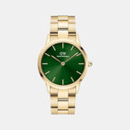 Iconic Women Quartz Green Dial Analog Stainless Steel Watch DW00100553