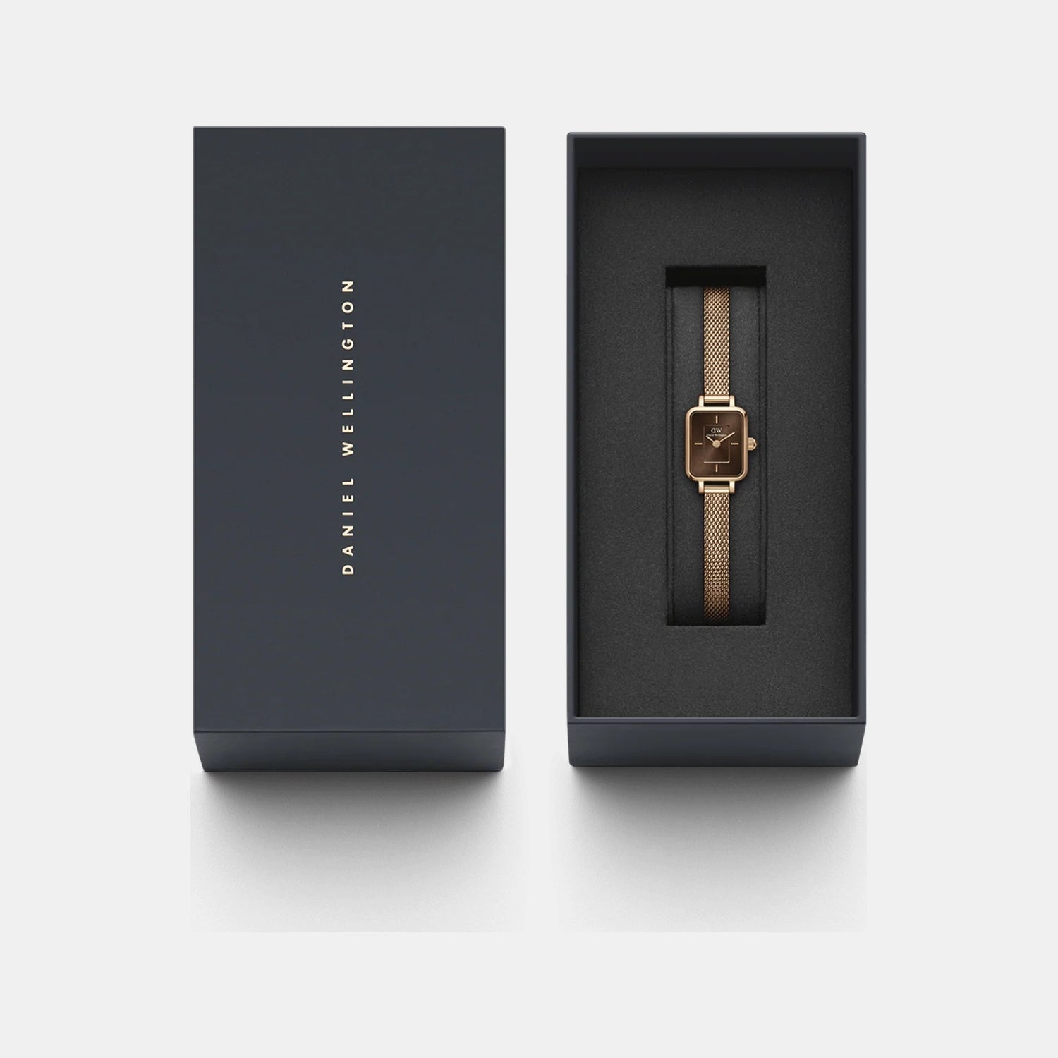 Quadro Women Quartz Brown Dial Analog Stainless Steel Watch DW00100649K