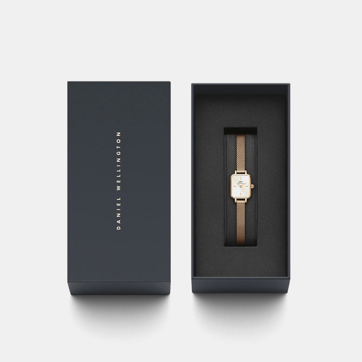 Quadro Women Quartz Champagne Dial Analog Stainless Steel Watch DW00100651