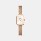 Women Quartz Champagne Dial Analog Stainless Steel Watch DW00100651