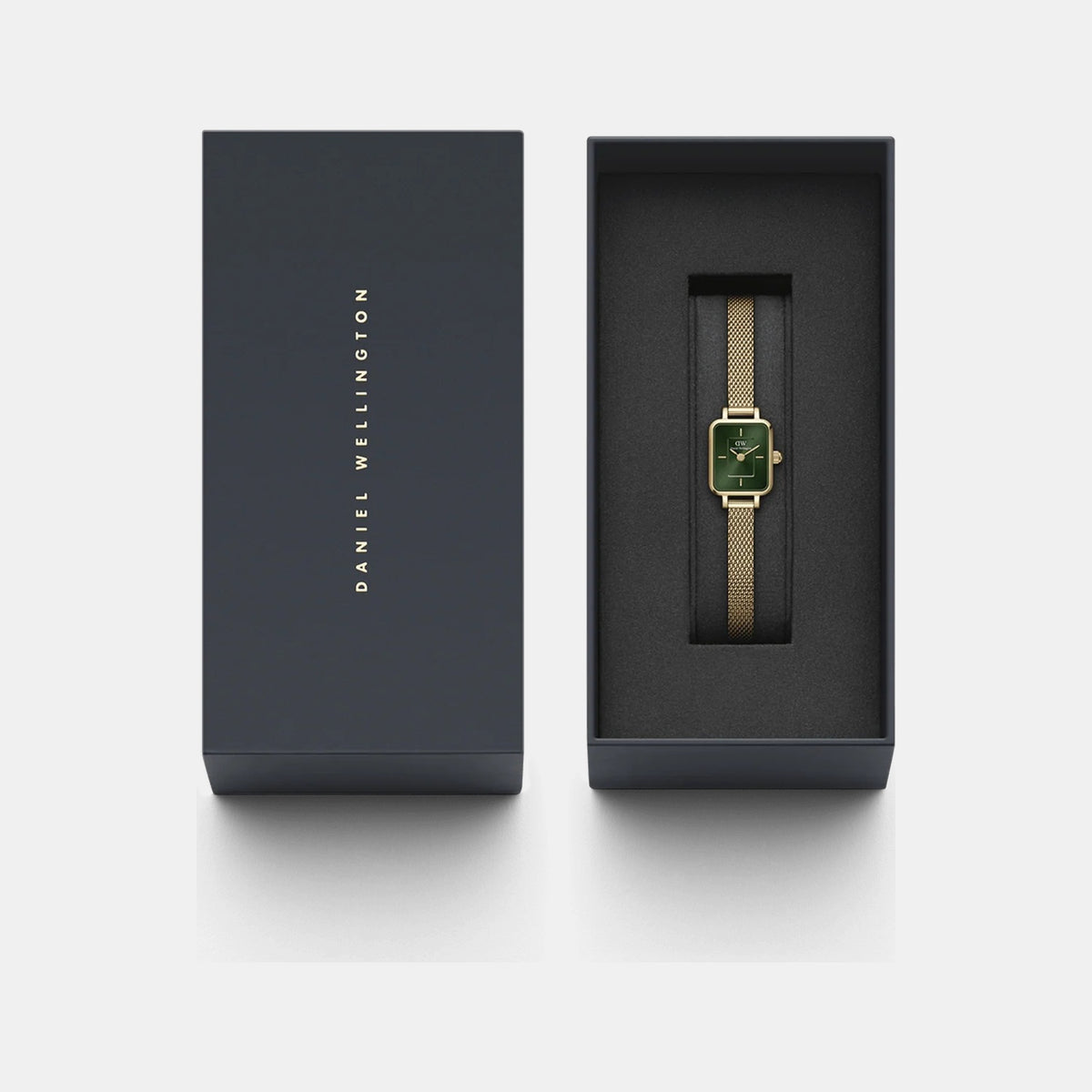 Quadro Women Quartz Green Dial Analog Stainless Steel Watch DW00100653