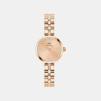 Elan Women Quartz Rose Gold Dial Analog Stainless Steel Watch DW00100720K