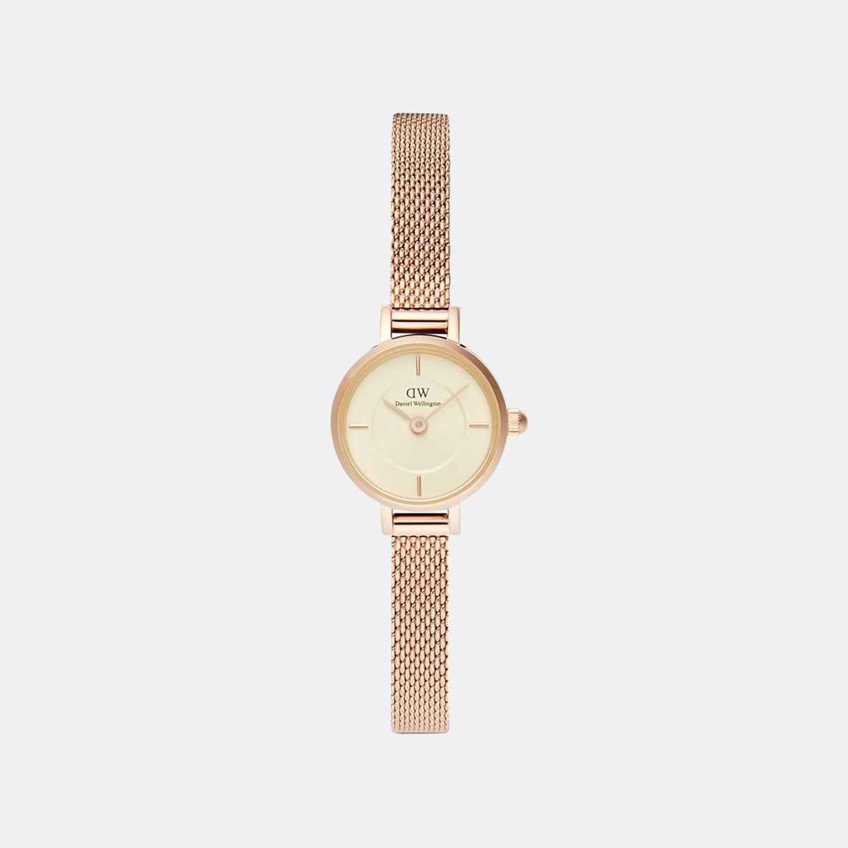 Petite Women Quartz Champagne Dial Analog Mesh Watch DW00100741K
