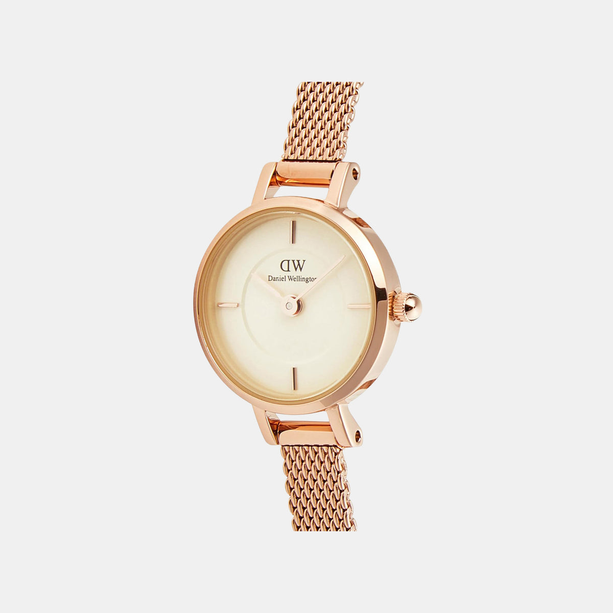 Petite Women Quartz Champagne Dial Analog Mesh Watch DW00100741K