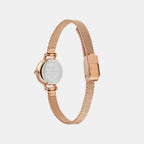 Women Quartz Champagne Dial Analog Steel Watch DW00100741