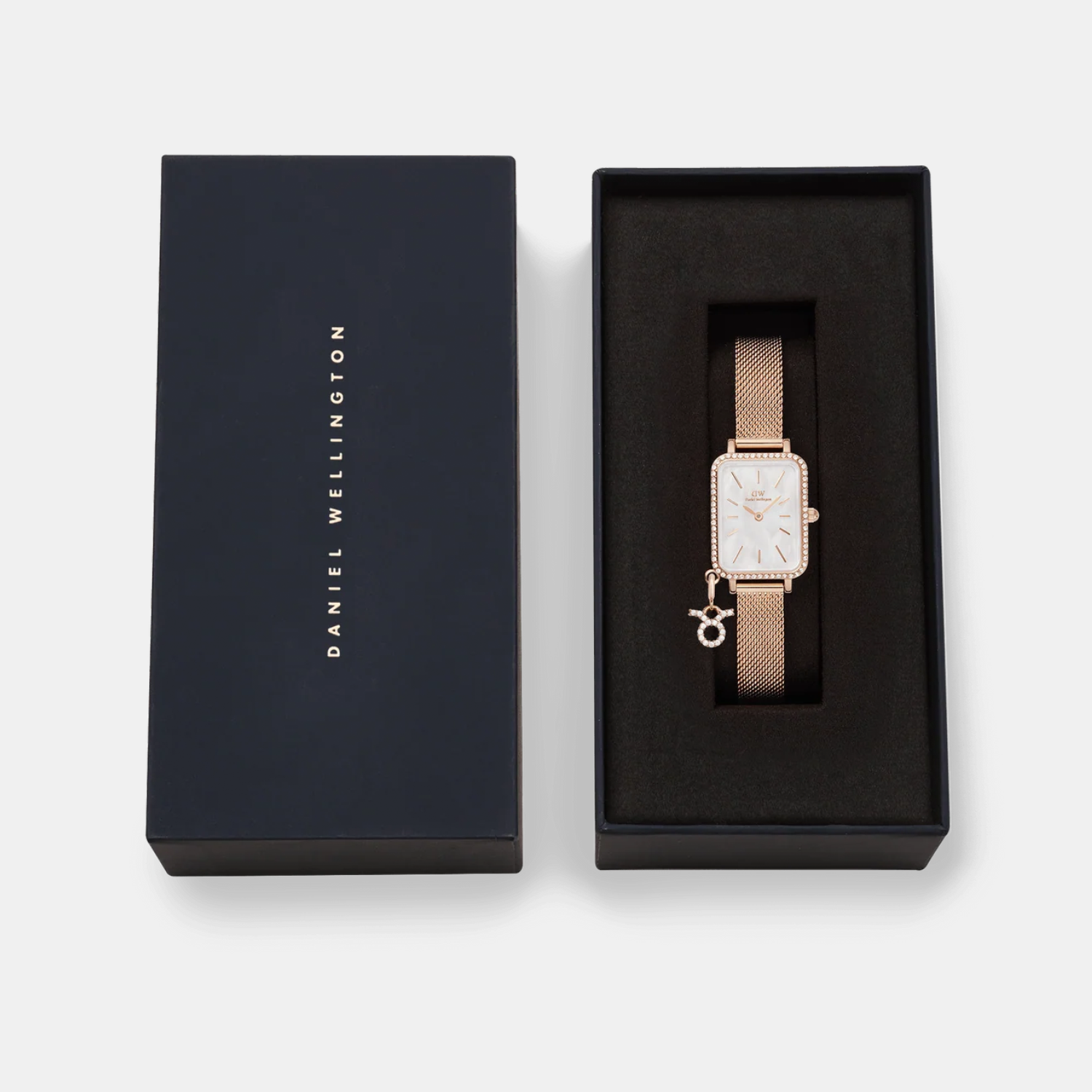 Quadro Women Quartz White Dial Analog Mesh Watch DW00100748