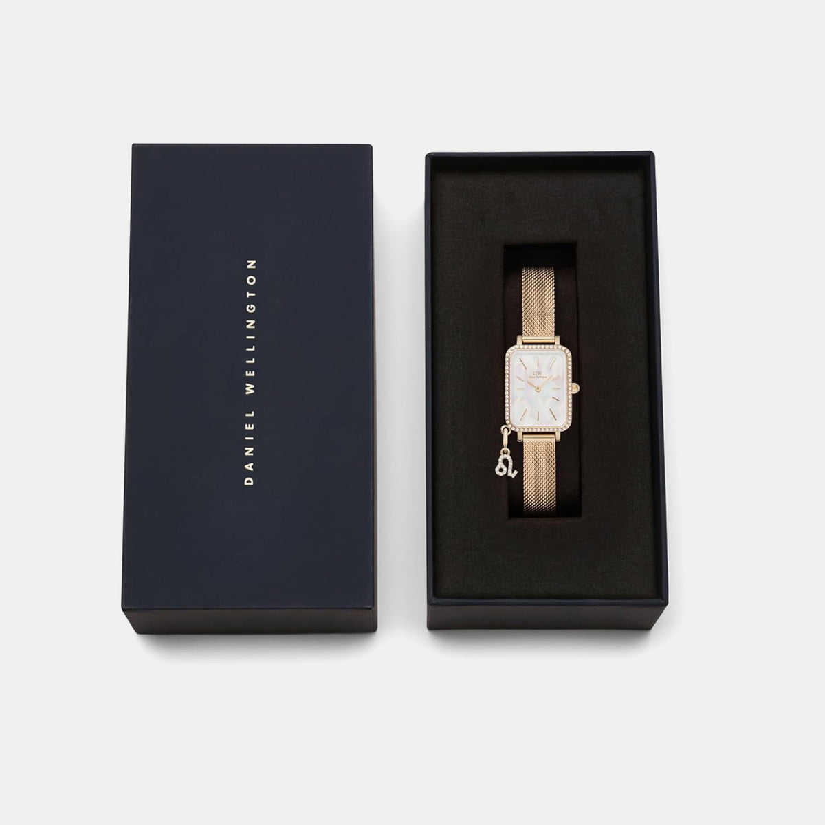 Quadro Women Quartz White Dial Analog Mesh Watch DW00100749K
