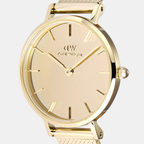 Petite Women Quartz Gold Dial Analog Stainless Steel Watch DW00100797