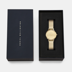 Petite Women Quartz Gold Dial Analog Stainless Steel Watch DW00100797