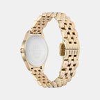 Ophelia Women Quartz Emerald Green Dial Analog Stainless Steel Watch DW00100804K