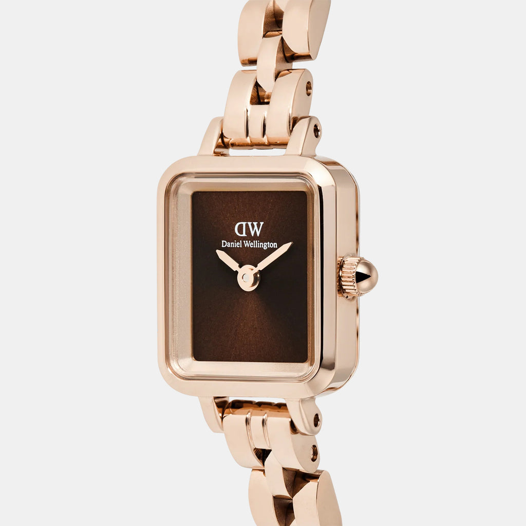 Quadro Women Quartz Brown Dial Analog Stainless Steel Watch DW00100849