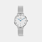 Petite Roman Women Quartz Silver Dial Analog Mesh Watch DW00100858