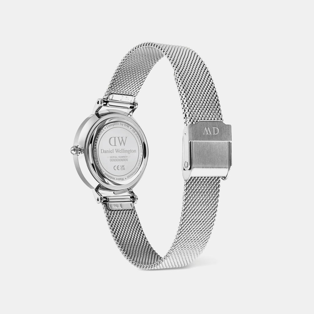 Petite Roman Women Quartz Silver Dial Analog Mesh Watch DW00100858