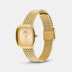 Margot Women Quartz Gold Dial Analog Mesh Watch DW00100964K