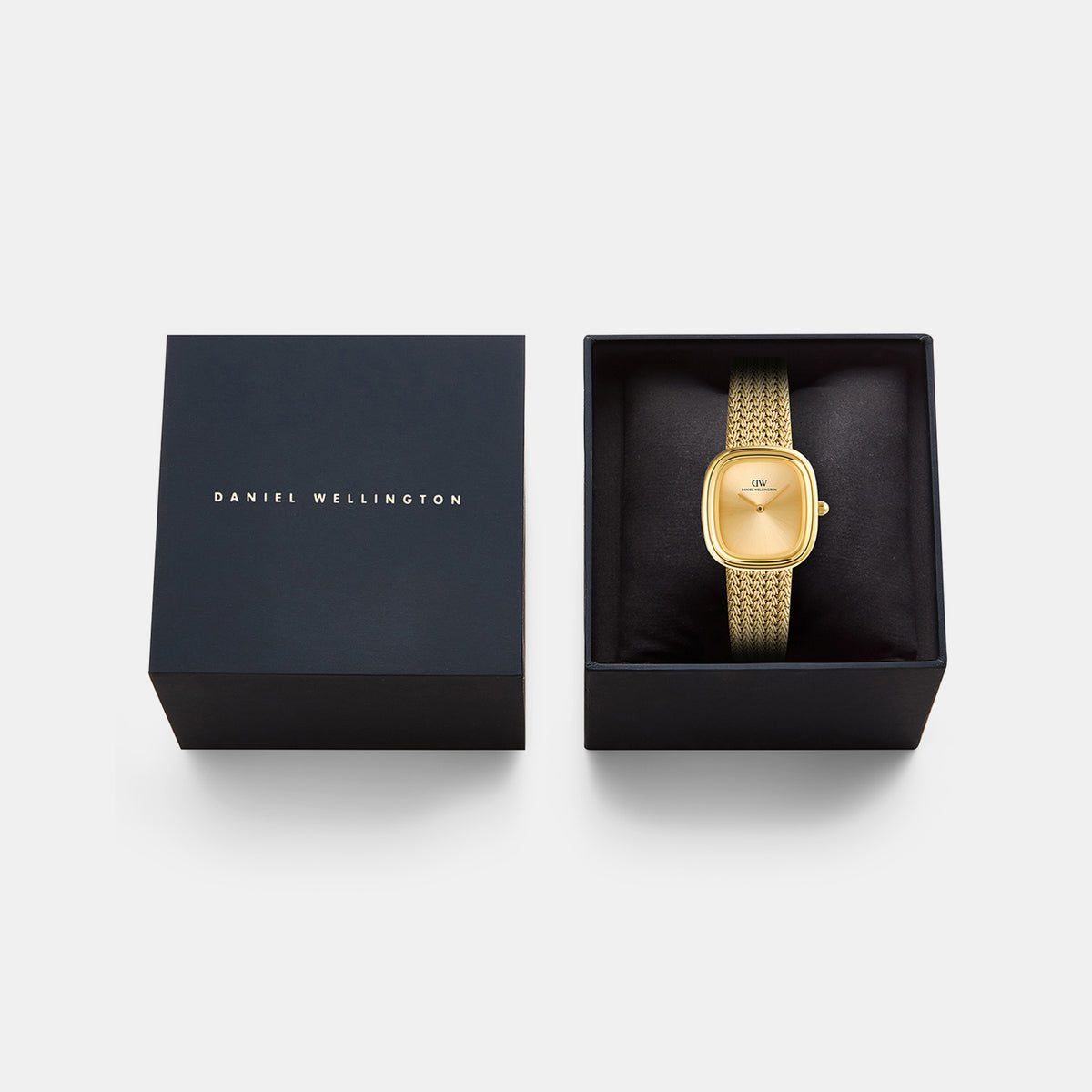 Margot Women Quartz Gold Dial Analog Mesh Watch DW00100964K