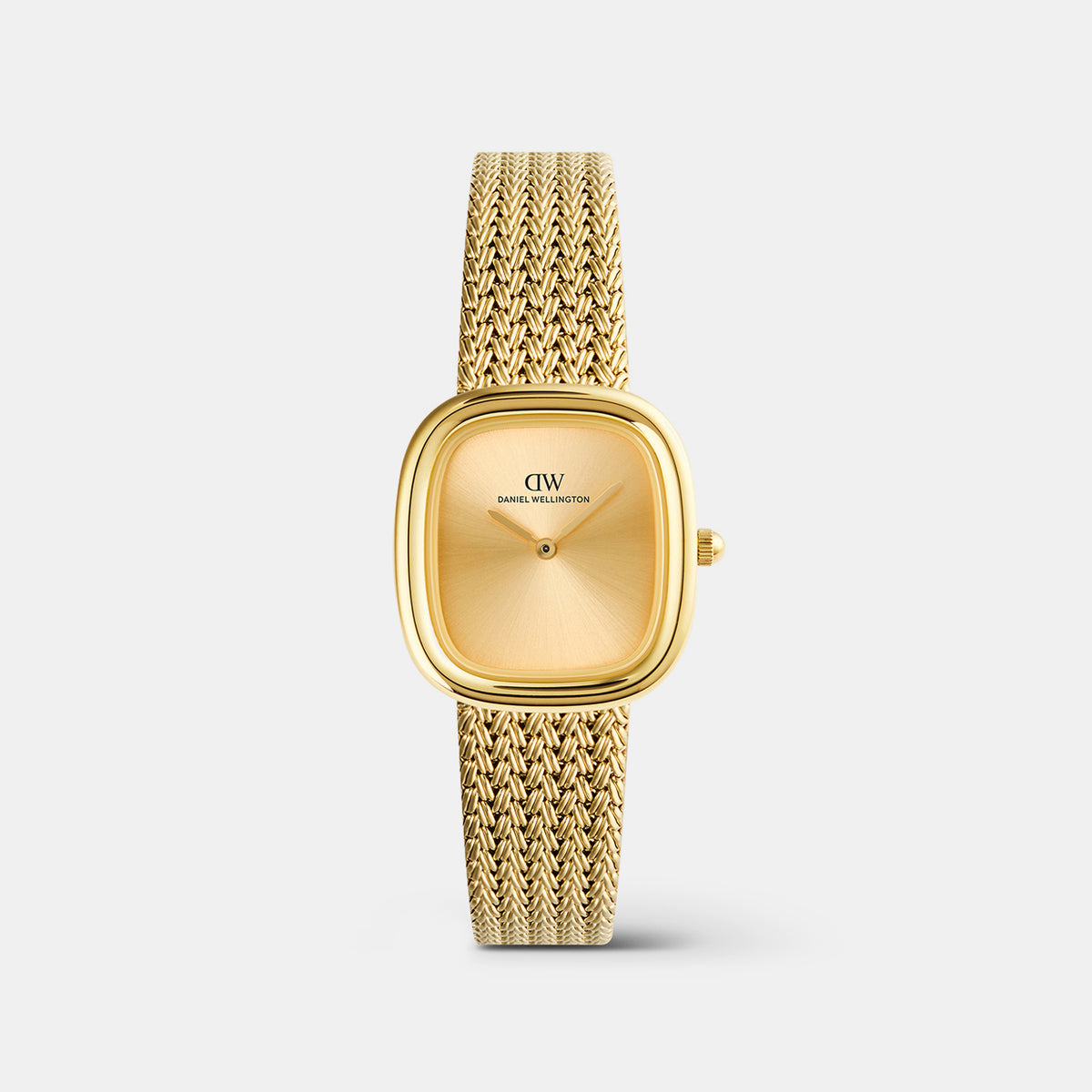 Margot Women Quartz Gold Dial Analog Mesh Watch DW00100964K