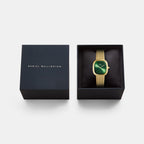 Margot Women Quartz Green Dial Analog Mesh Watch DW00100967K