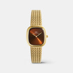 Women Quartz Brown Dial Analog Stainless Steel Watch DW00100968