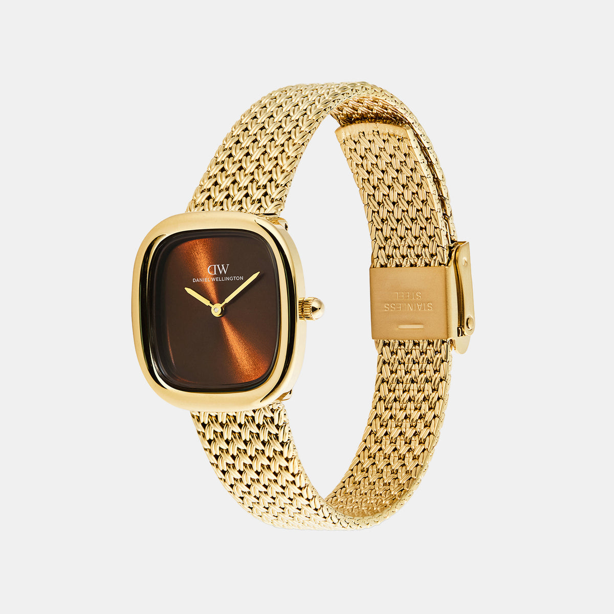 Women Quartz Brown Dial Analog Stainless Steel Watch DW00100968