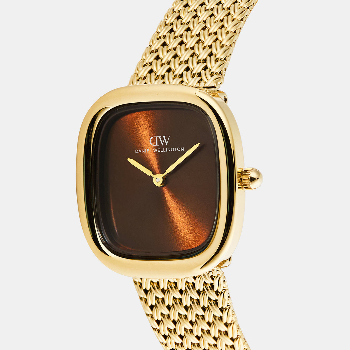 Women Quartz Brown Dial Analog Stainless Steel Watch DW00100968