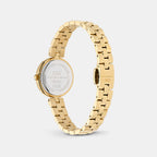 Women Quartz Green Dial Analog Stainless Steel Watch DW00101004