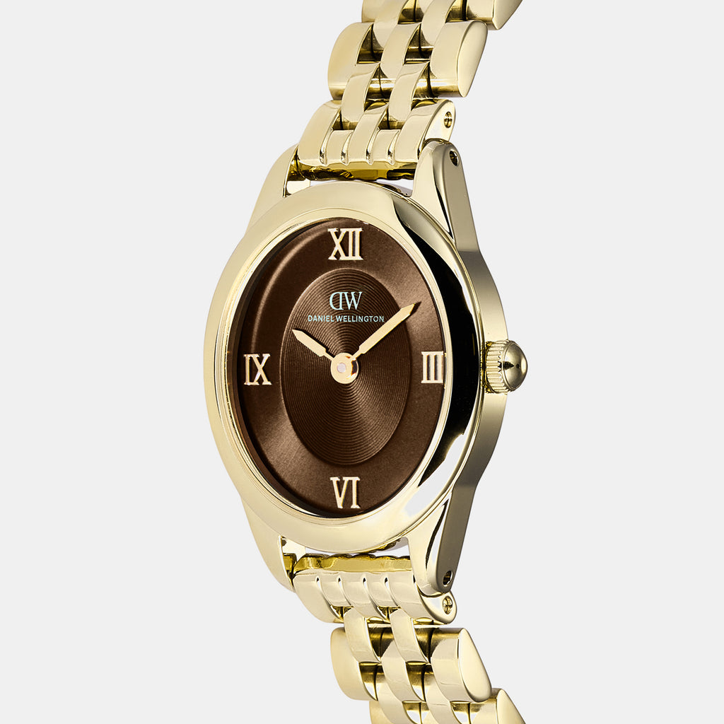 Women Quartz Brown Dial Analog Stainless Steel Watch DW00101018