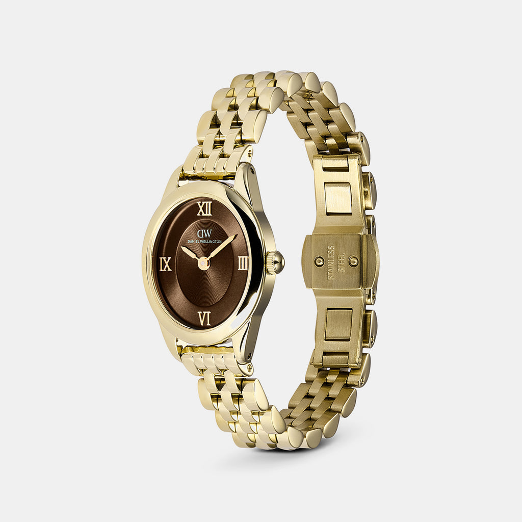Women Quartz Brown Dial Analog Stainless Steel Watch DW00101018
