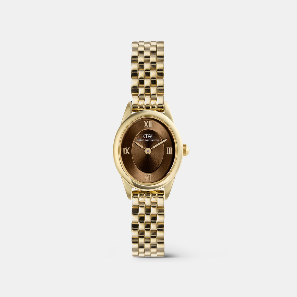 Women Quartz Brown Dial Analog Stainless Steel Watch DW00101018