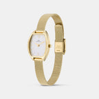 Women Quartz Silver Dial Analog Stainless Steel Watch DW0DL2000