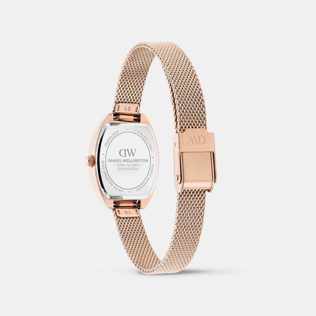 Women Quartz Rose Gold Dial Analog Stainless Steel Watch DW0DL2001