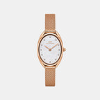 Women Quartz Pink Mother Of Pearl Dial Analog Stainless Steel Watch DW0DL2201