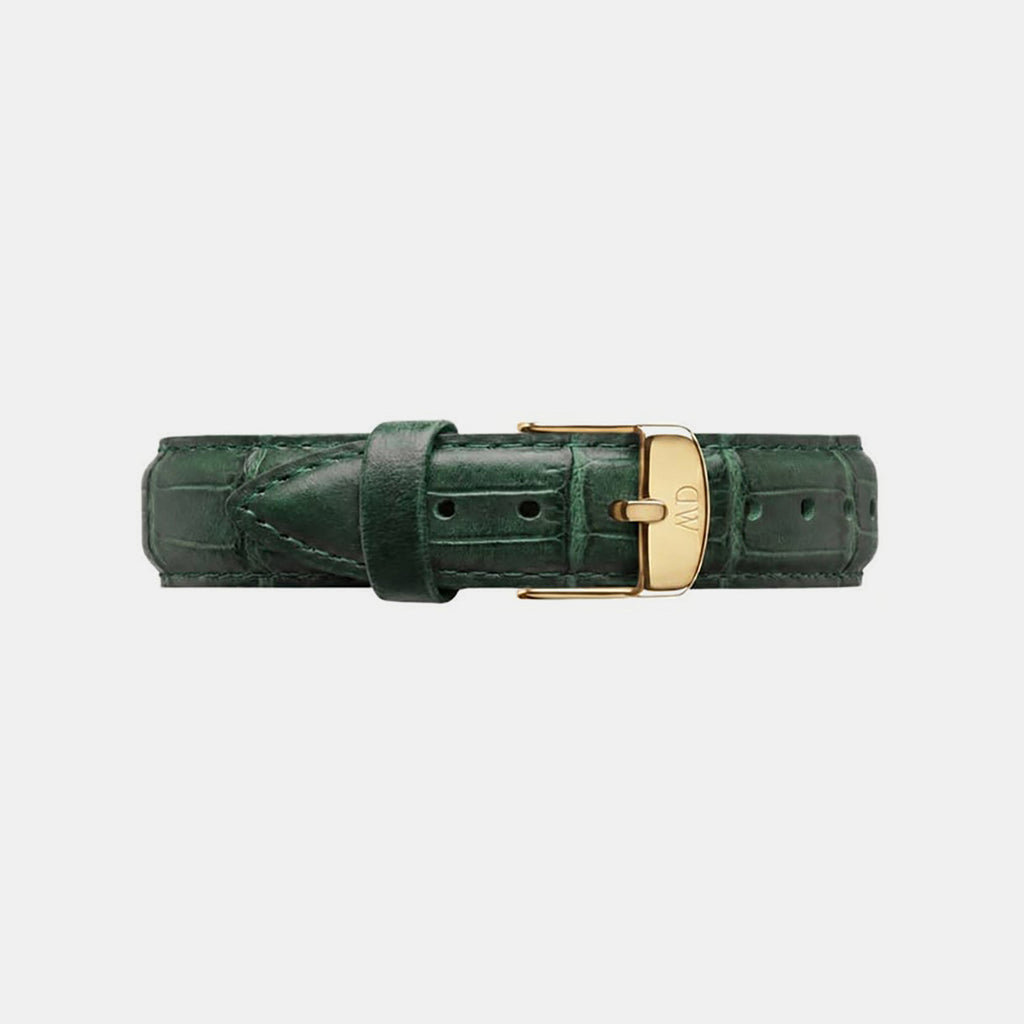 Women Quartz Green Dial Analog Leather Watch DW0DL2400
