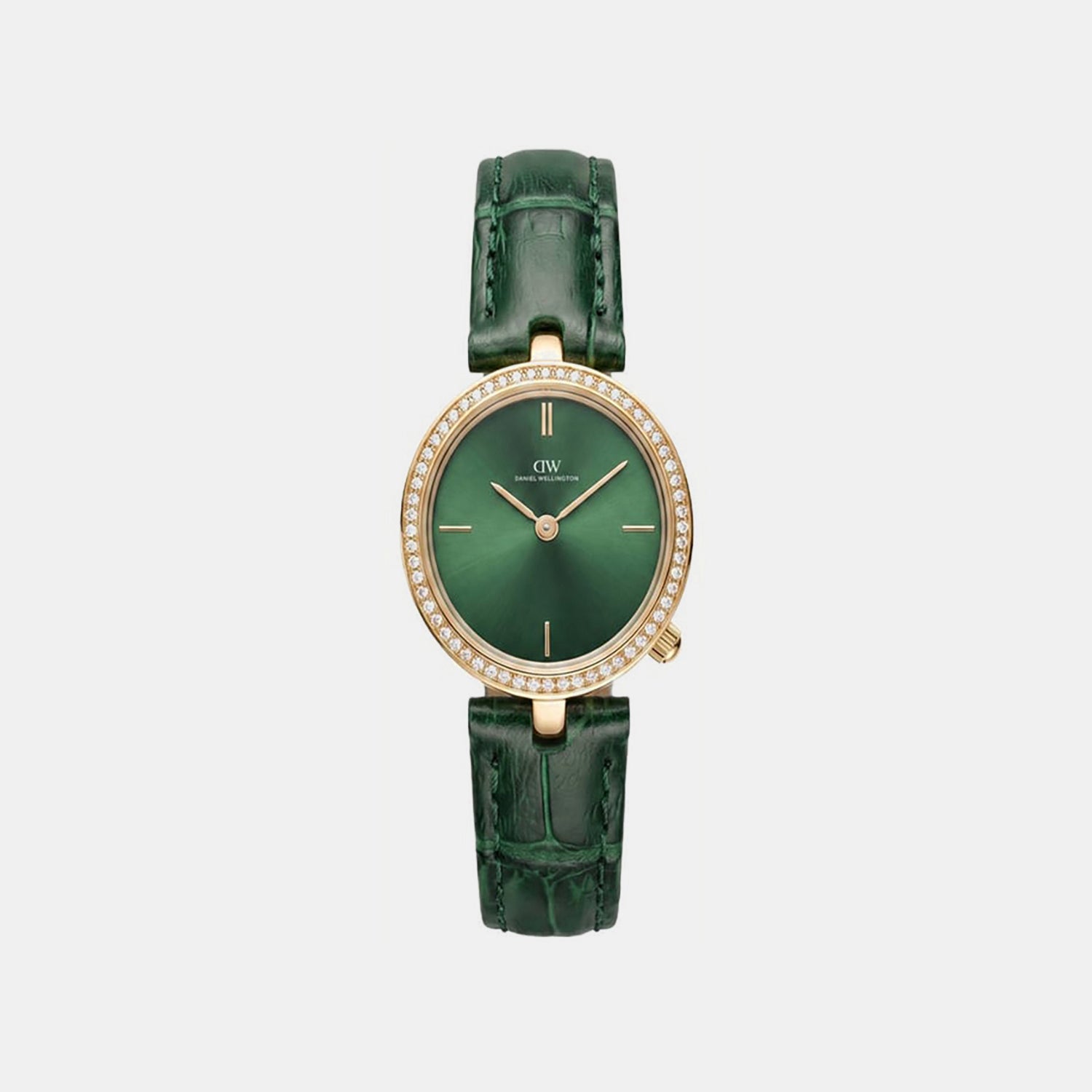 Women Quartz Green Dial Analog Leather Watch DW0DL2400