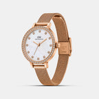 Women Quartz Mother Of Pearl Dial Analog Stainless Steel Watch DW0DL2502