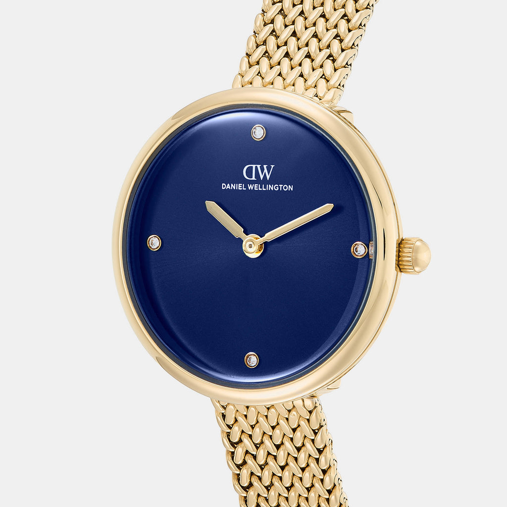 Women Quartz Blue Dial Analog Stainless Steel Watch DW0DL2700