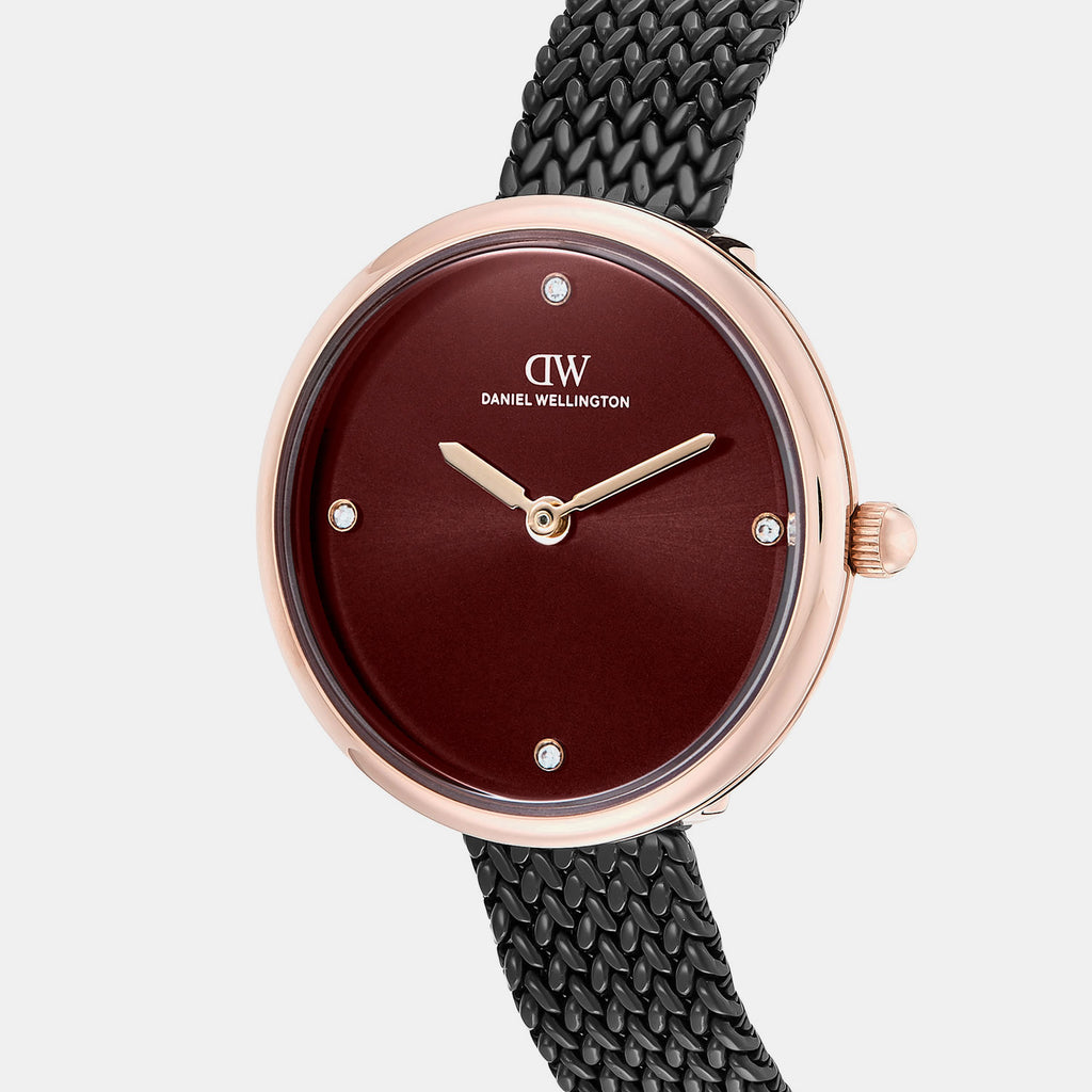 Women Quartz Burgundy Dial Analog Stainless Steel Watch DW0DL2702