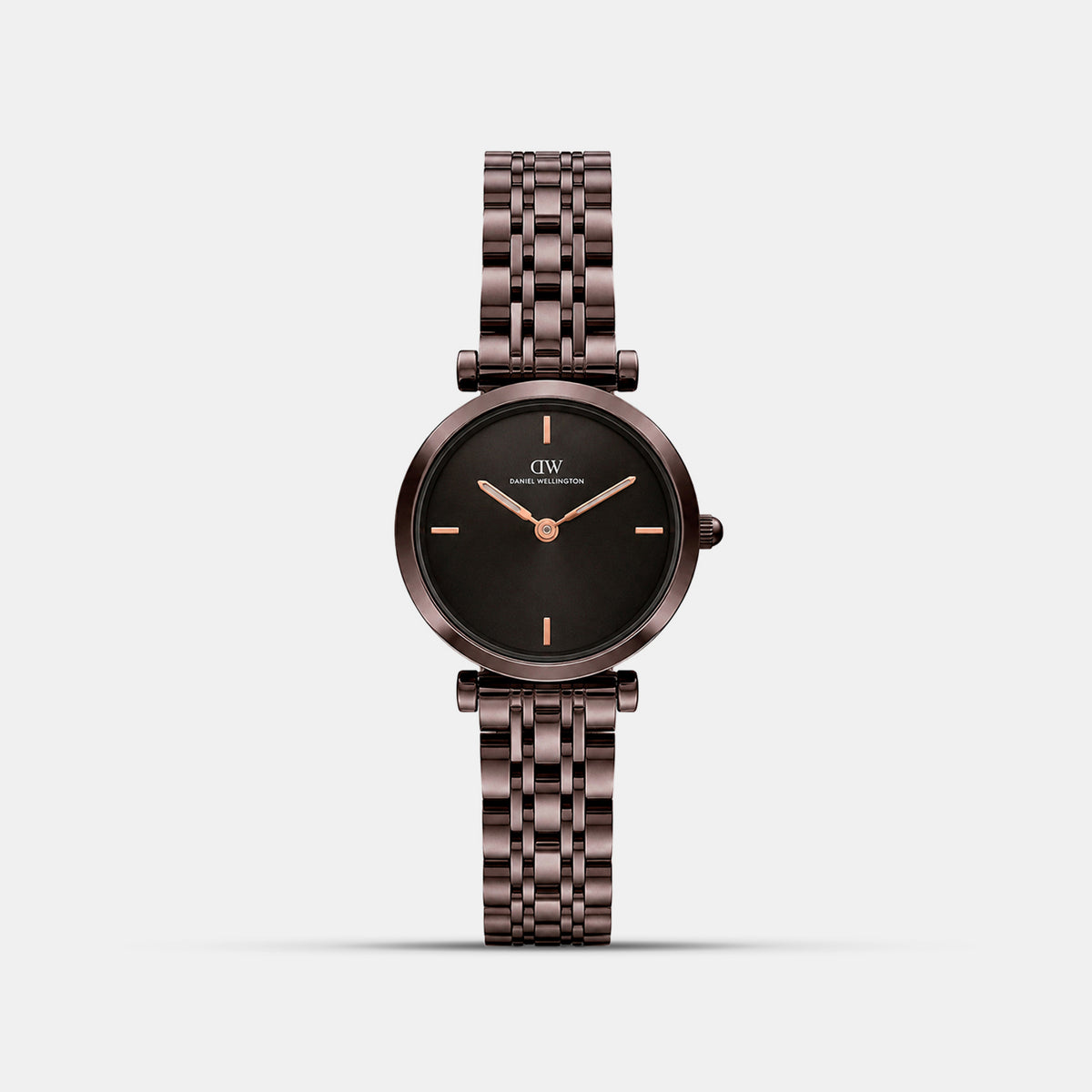Women Quartz Brown Dial Analog Stainless Steel Watch DW0DL3102