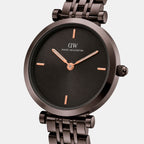 Women Quartz Brown Dial Analog Stainless Steel Watch DW0DL3102