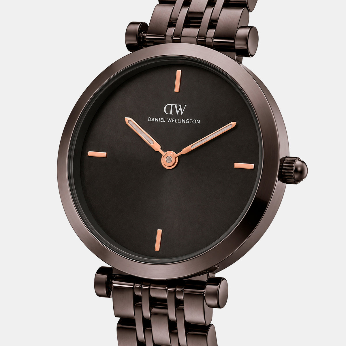 Women Quartz Brown Dial Analog Stainless Steel Watch DW0DL3102