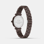 Women Quartz Brown Dial Analog Stainless Steel Watch DW0DL3102