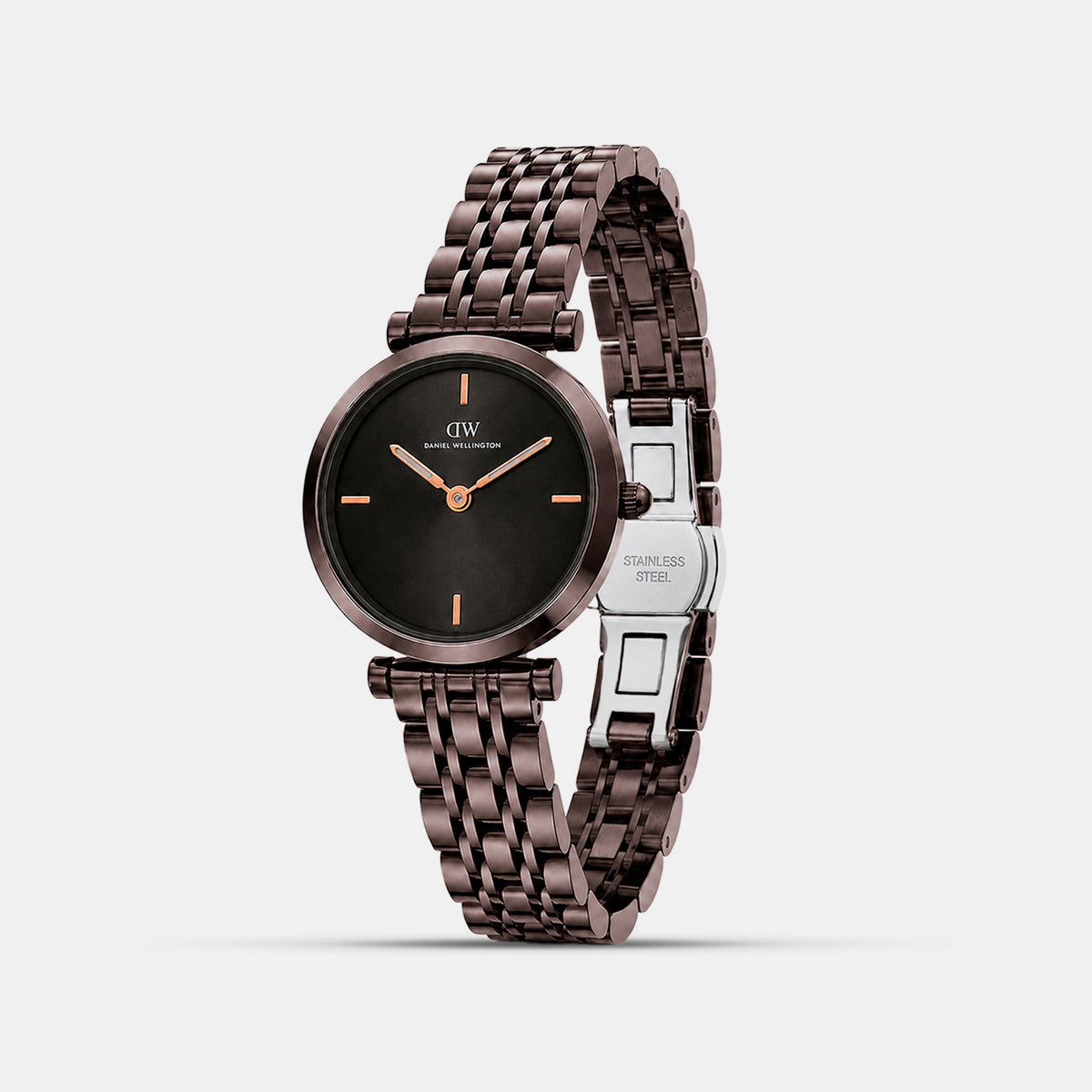 Women Quartz Brown Dial Analog Stainless Steel Watch DW0DL3102