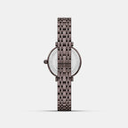 Women Quartz Brown Dial Analog Stainless Steel Watch DW0DL3102