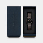 Women Quartz Brown Dial Analog Stainless Steel Watch DW0DL3102
