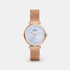 Women Quartz Mother Of Pearl Dial Analog Mesh Watch DW0DL3300