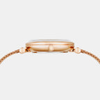 Women Quartz Mother Of Pearl Dial Analog Mesh Watch DW0DL3300